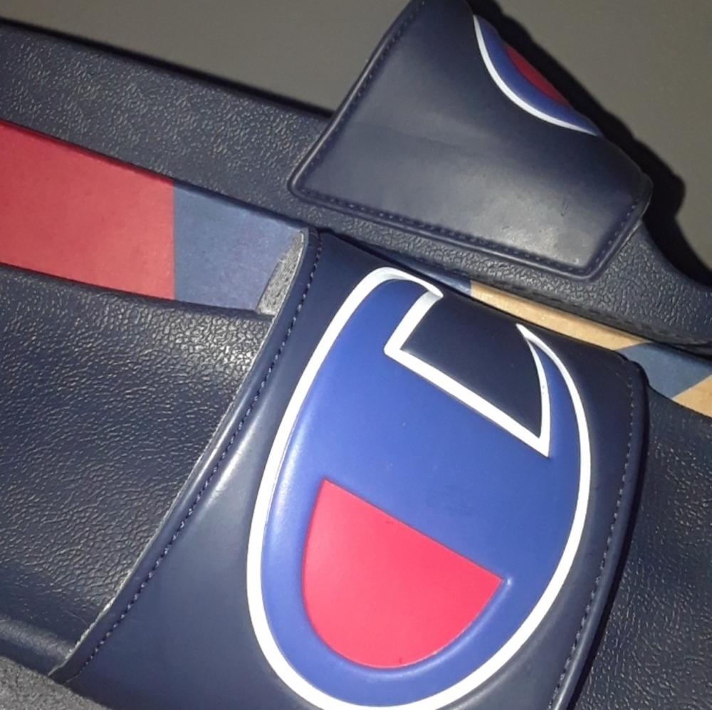 CHAMPION slides